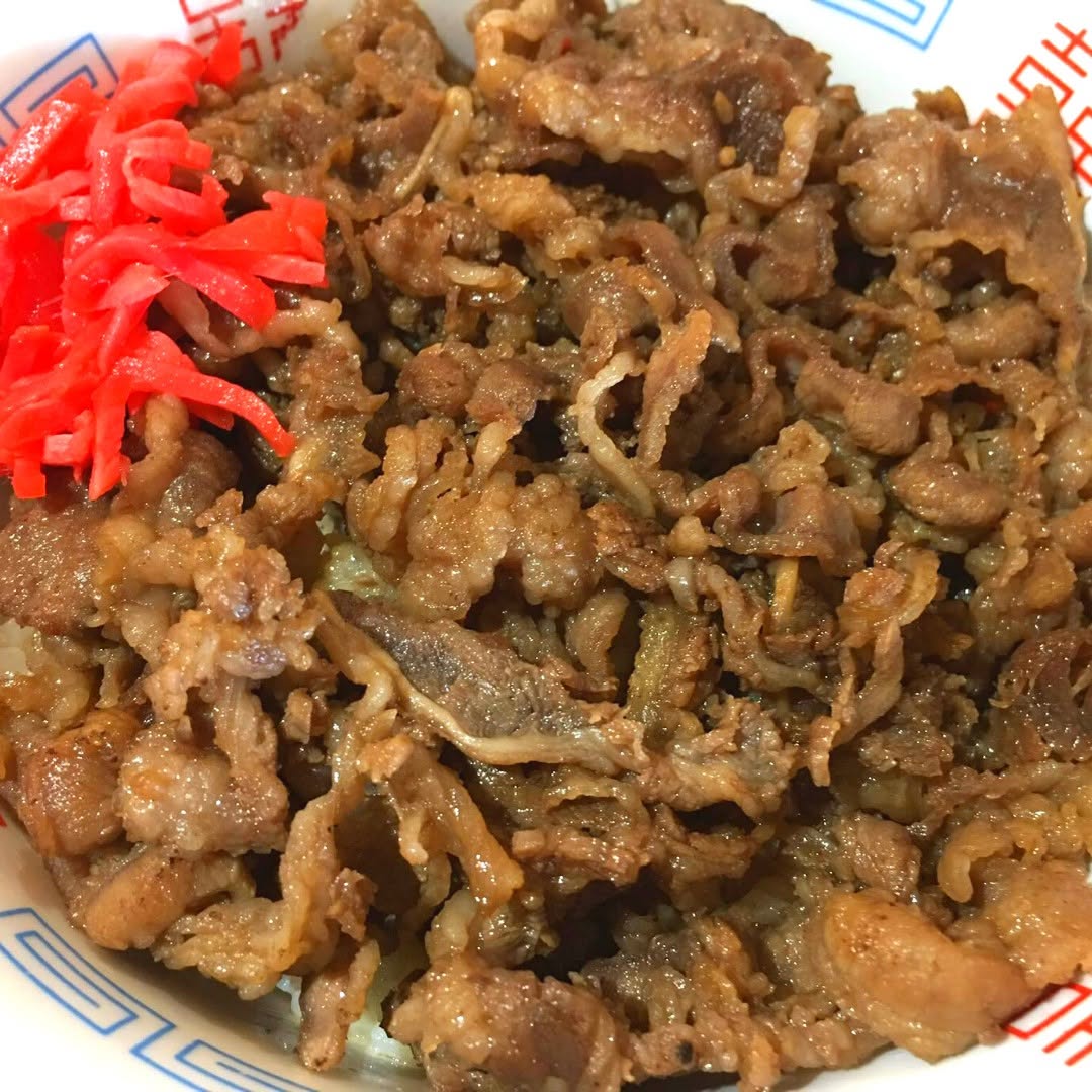 Gyudon beef rice bowl